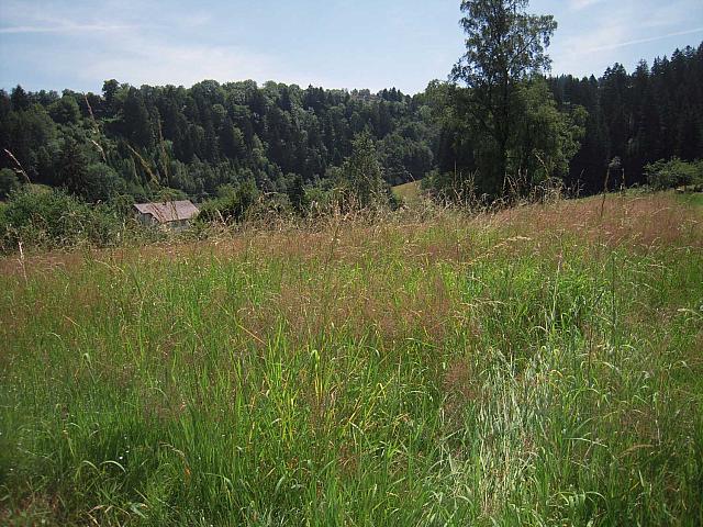 natur_christophstal_v5