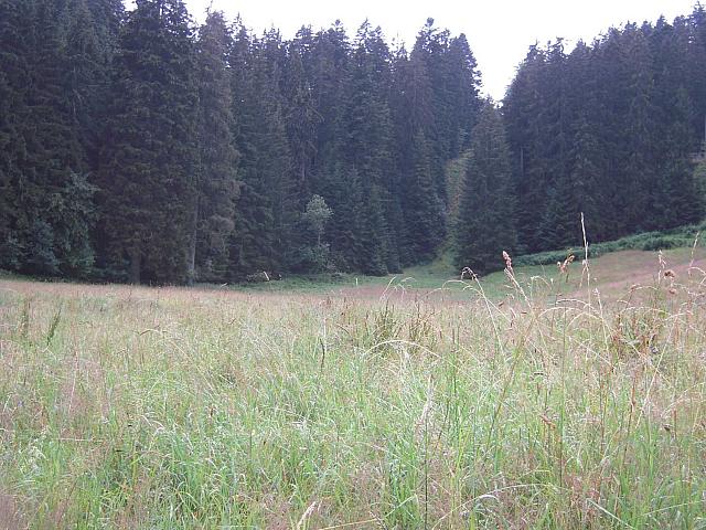 natur_christophstal_v9